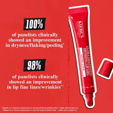 Ultra Meltdown Medicated Mending Lip Gel