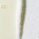 Creme de Corps Smoothing Oil-to-Foam Body Cleanser