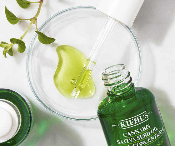 Cannabis Sativa Seed Oil Herbal Concentrate Face Oil