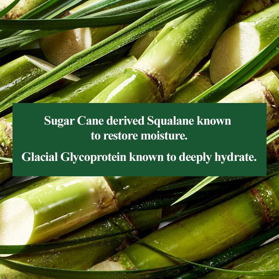 Ultra Facial Hydrating Concentrated Cleansing Bar