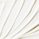 Deluxe Hand & Body Lotion