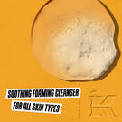 Calendula Deep Cleansing Foaming Face Wash