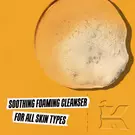 Calendula Deep Cleansing Foaming Face Wash