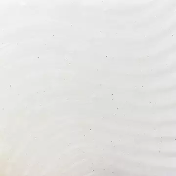 Clearly Corrective Brightening & Exfoliating Daily Cleanser