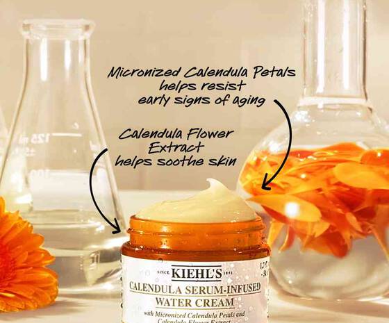 Calendula Serum Infused Hydrating Water Cream Kiehl S Calendula Serum Infused Hydrating Water Cream Kiehl S