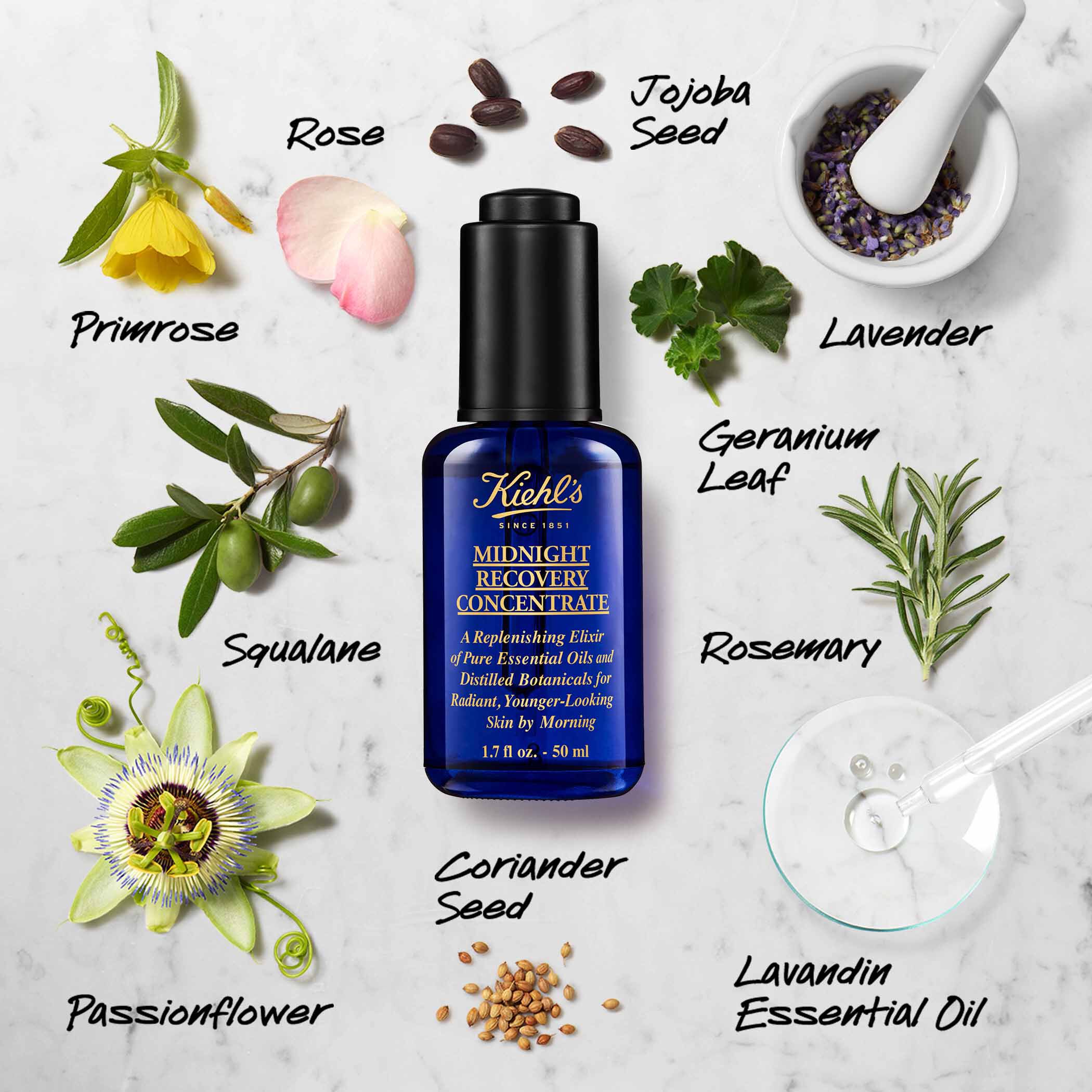 Midnight Recovery Concentrate Moisturizing Face Oil Serum