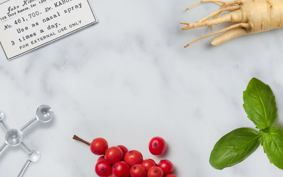 Your Guide to Adaptogens & Skincare