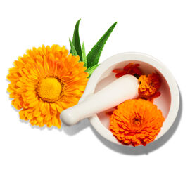 Calendula Ingredient Glossary Image