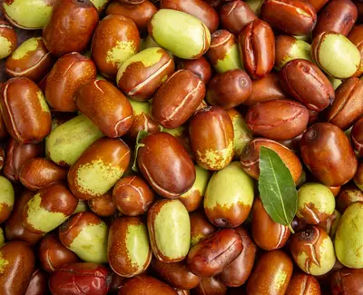 Jojoba Butter Kiehl's Ingredient