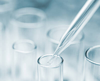 Hand Harvested Soap Tree Extract Kiehl's Ingredient