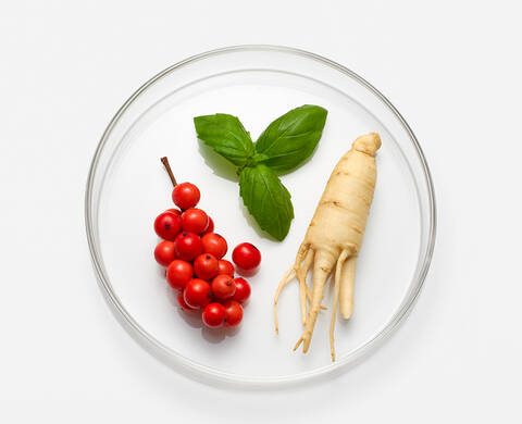 Adaptogenic Herbal Complex Kiehl's Ingredient