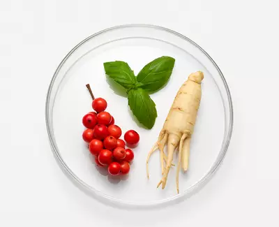Adaptogenic Herbal Complex Kiehl's Ingredient