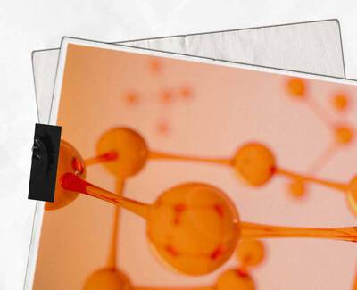 Ingredient representation of Bio-Peptides​