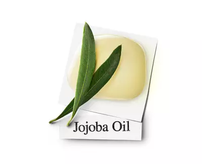 Jojoba Oil Kiehl's Ingredient