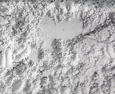 Micronized Shells Kiehl's Ingredient
