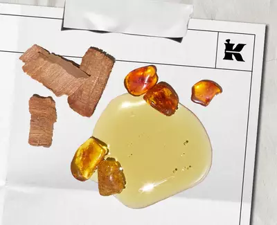 Sandalwood & Amber Notes Kiehl's Ingredient