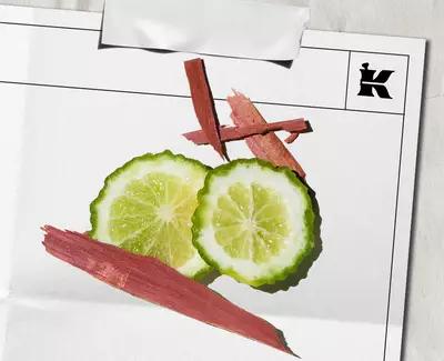 Bergamot & CedarWood Notes Kiehl's Ingredient