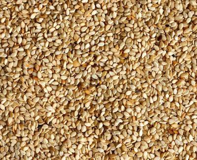 Sesame Seed Oil Kiehl's Ingredient