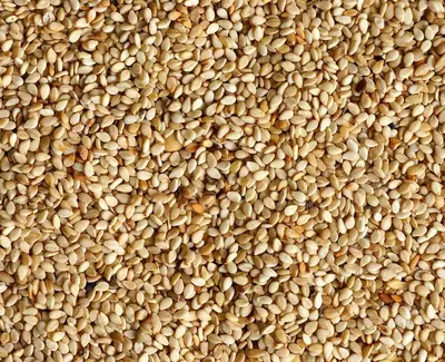 Sesame Seed Oil Kiehl's Ingredient