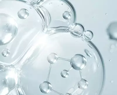 Pro-Ceramides Kiehl's Ingredient