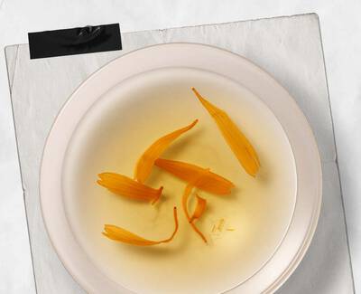 Ingredient representation of Calendula Petals ​