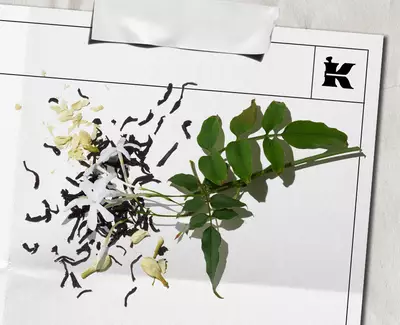 Black Tea & Jasmine Notes Kiehl's Ingredient