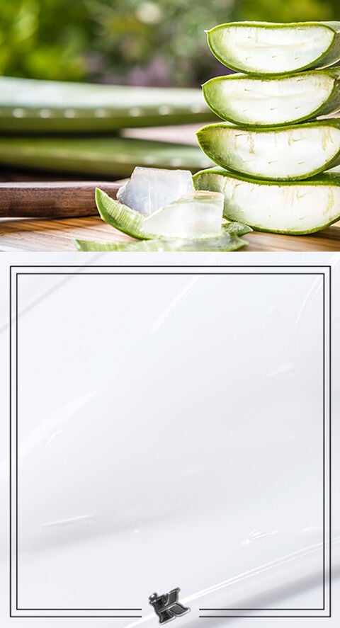 4 Benefits Of Aloe Vera