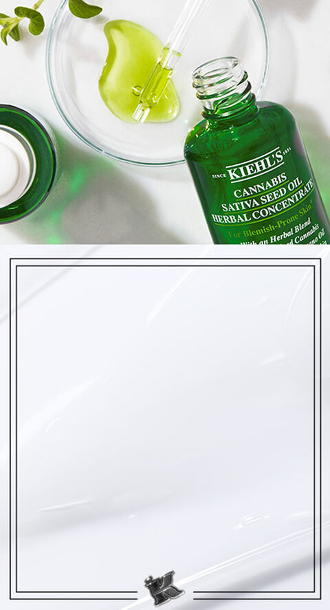 A product shot of Kiehl's Cannabis Sativa Seed Oil Herbal Concentrate