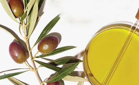 The Skincare Benefits Of Squalane