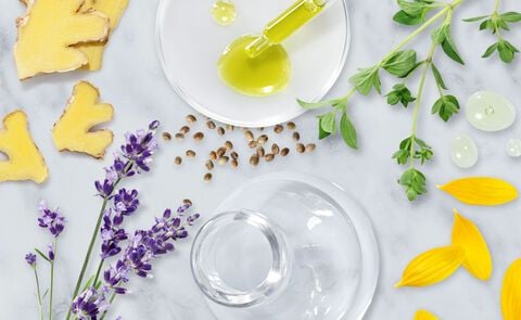 Our Guide To Essential Oils