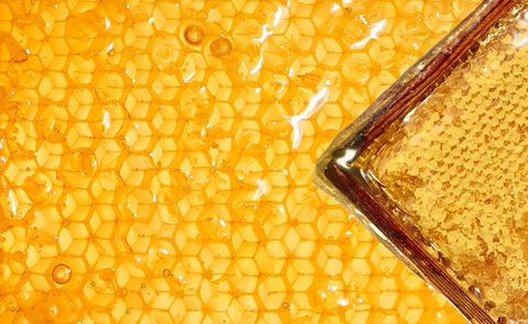 Is Honey Good For Your Skin?